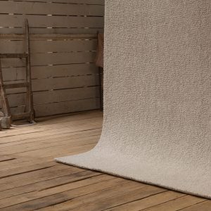 Little Tasman - Image 2